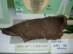 Uni_0082.jpg