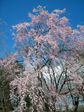 Uni_02392.jpg