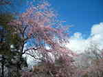 Uni_02394.jpg