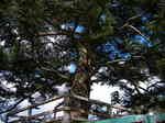 Uni_0280.jpg