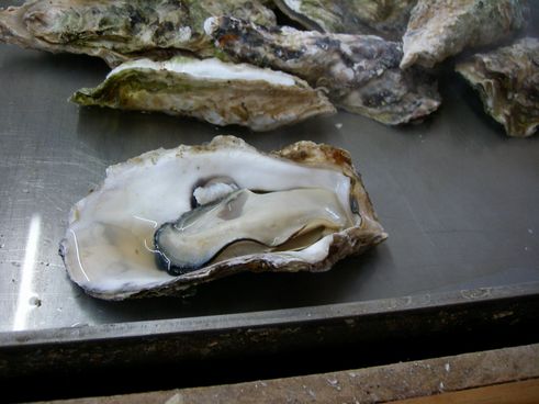 Uni_0546.jpg