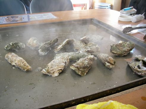 Uni_0548.jpg