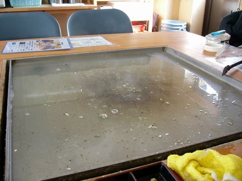 Uni_0550.jpg