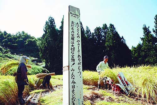 niigata.jpg